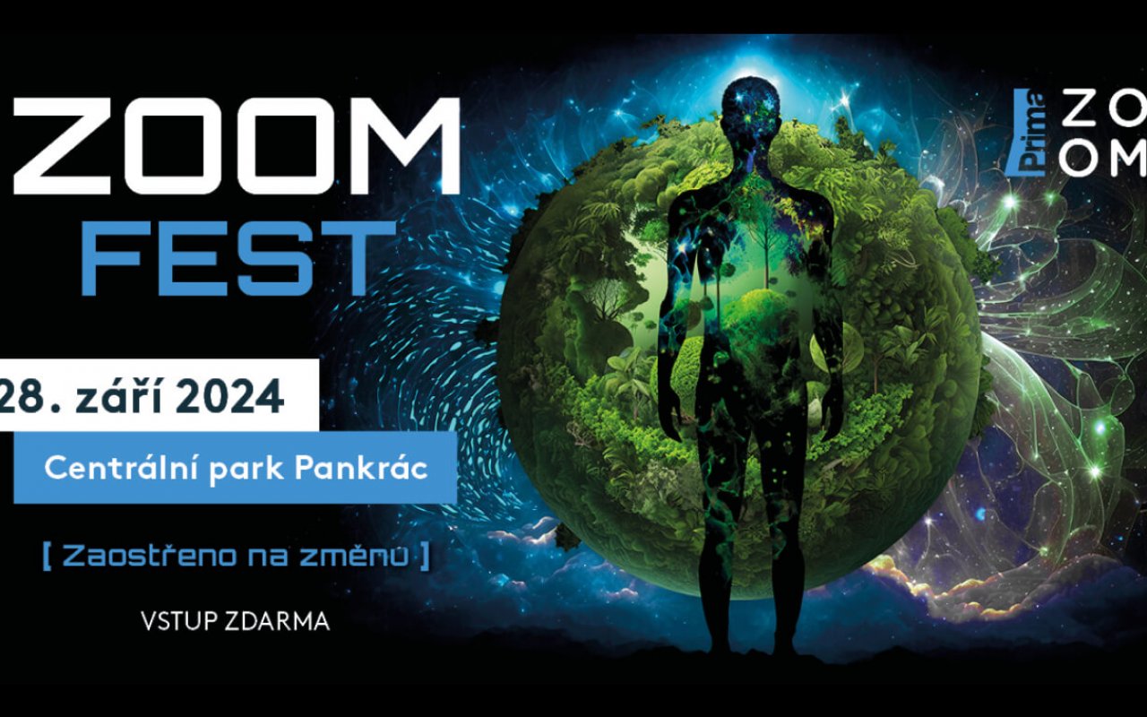 ZOOM FEST